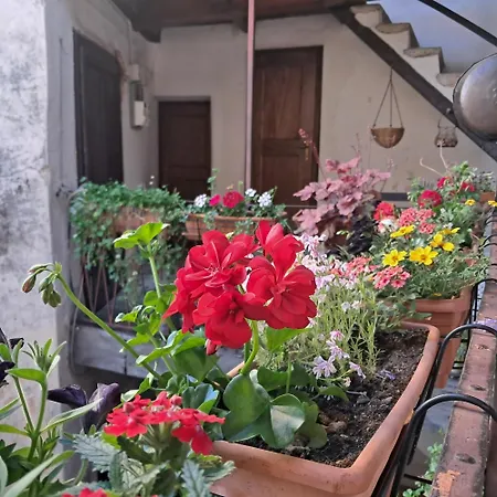Bed & Breakfast La Corte Del Poeta 3*
